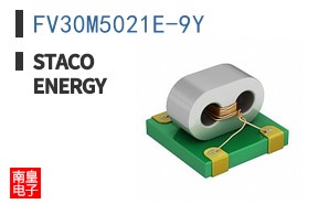 FV30M5021E-9Y ͼƬ